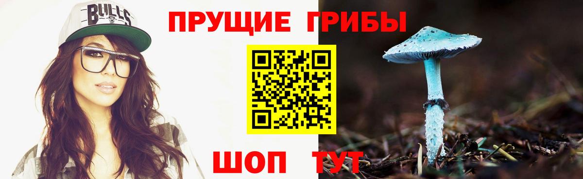 Псилоцибиновые грибы GOLDEN TEACHER  Вход с VPN  купить  сайты  Гудермес 